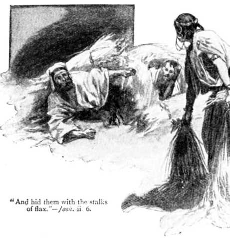 Josh_2_6_hid_them_with_stalks_2