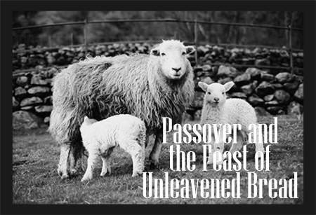 Passover_lamb Passover_lamb