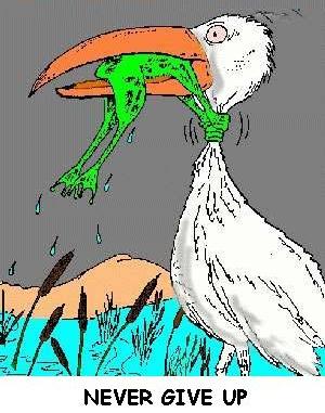 Never_give_up Never_give_up