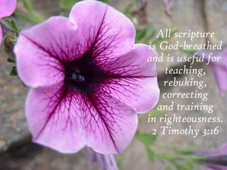 2timothy_3_16 2timothy_3_16
