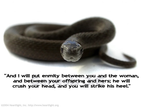 Snake_heel Snake_heel