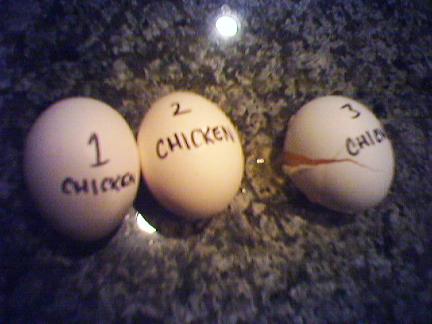 Chickens_hatch Chickens_hatch