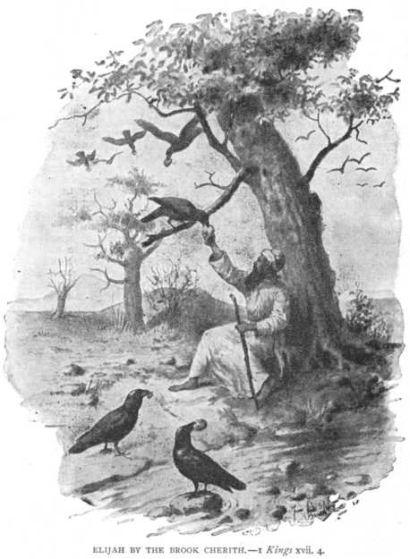 I_kings_17_4_elijah_by_the_brook_cherith