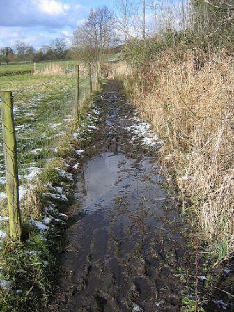 Muddypath