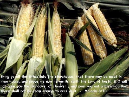 In_god_we_trust In_god_we_trust