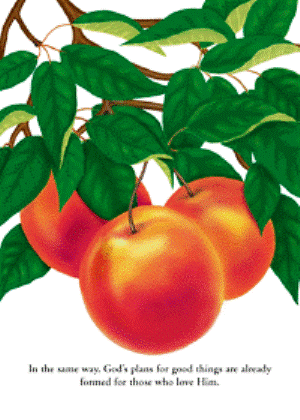 Gods_plans Gods_plans