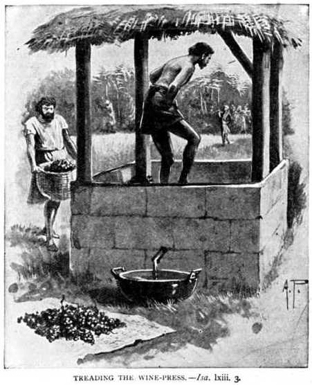Isa_63_3_treading_the_winepress_1